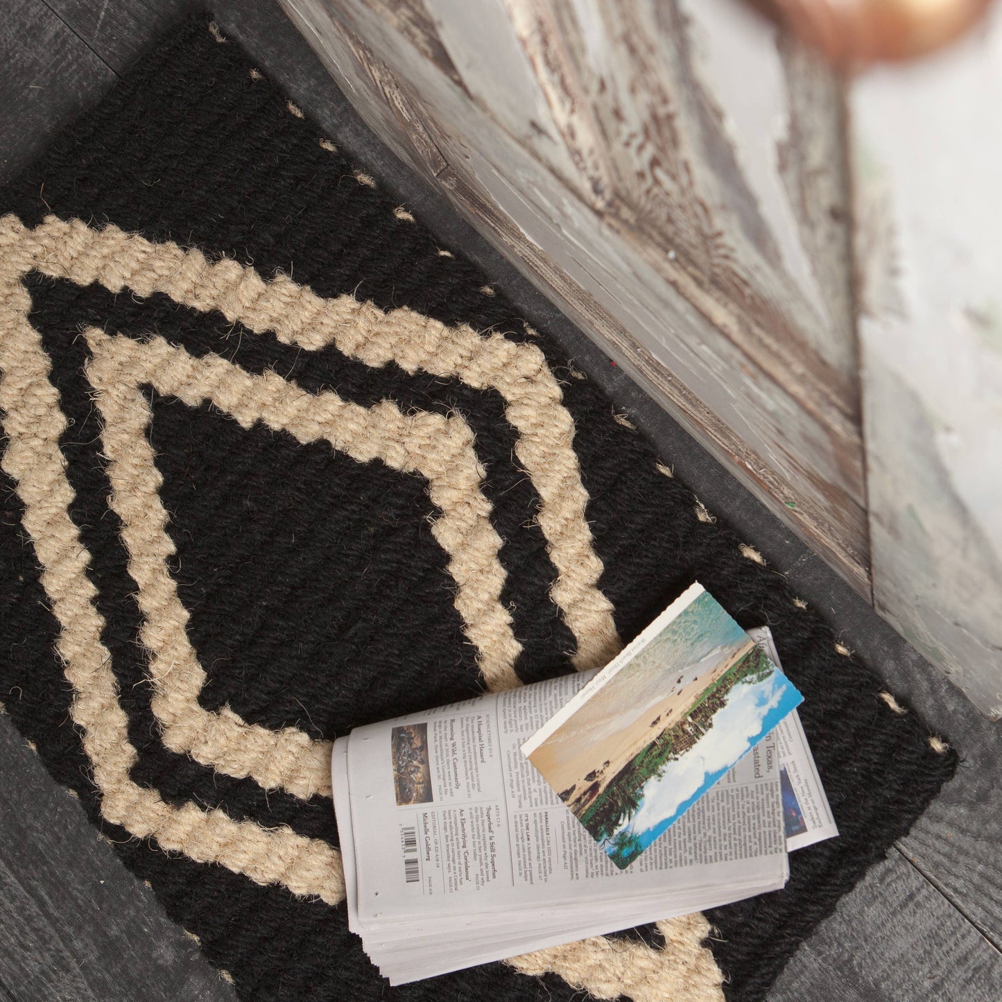 Danica Studio Ziggy Hollander Doormat 18 x 30 inches
