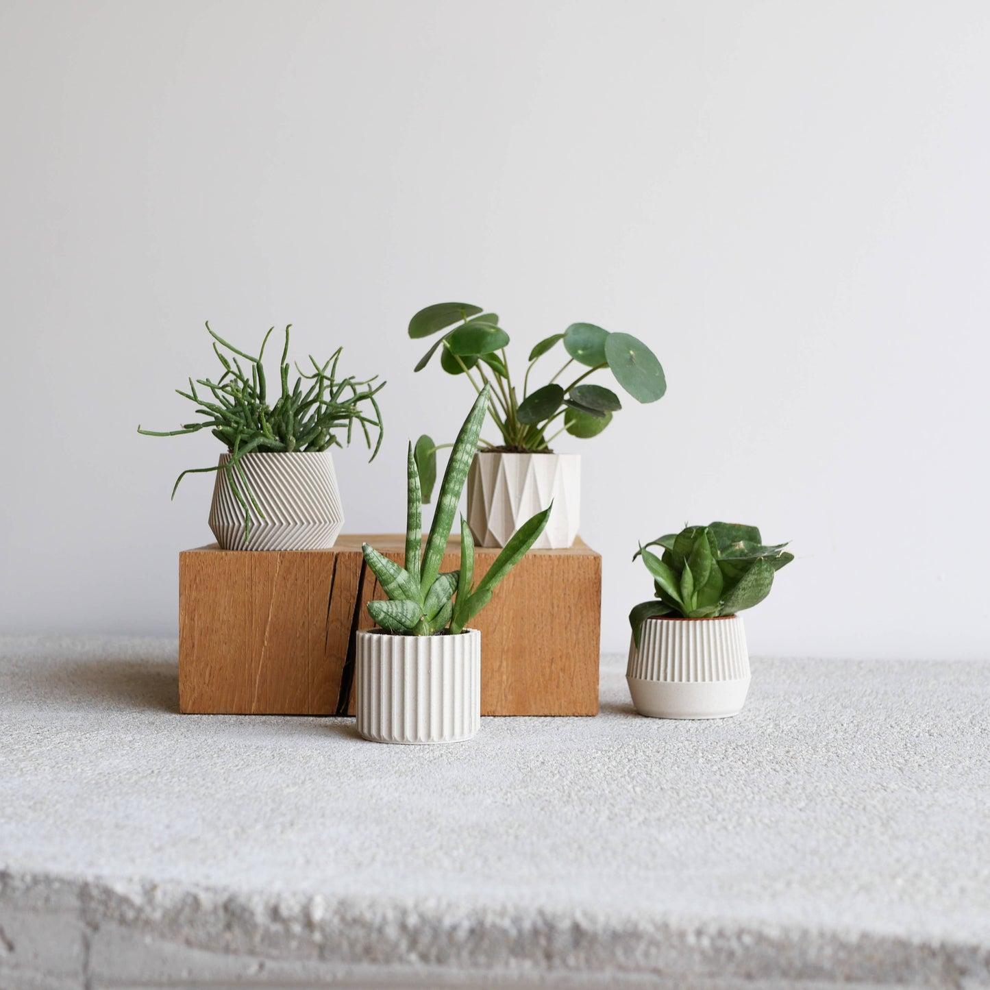 1 indoor Planter – Oslo Origami Kobe Stockholm