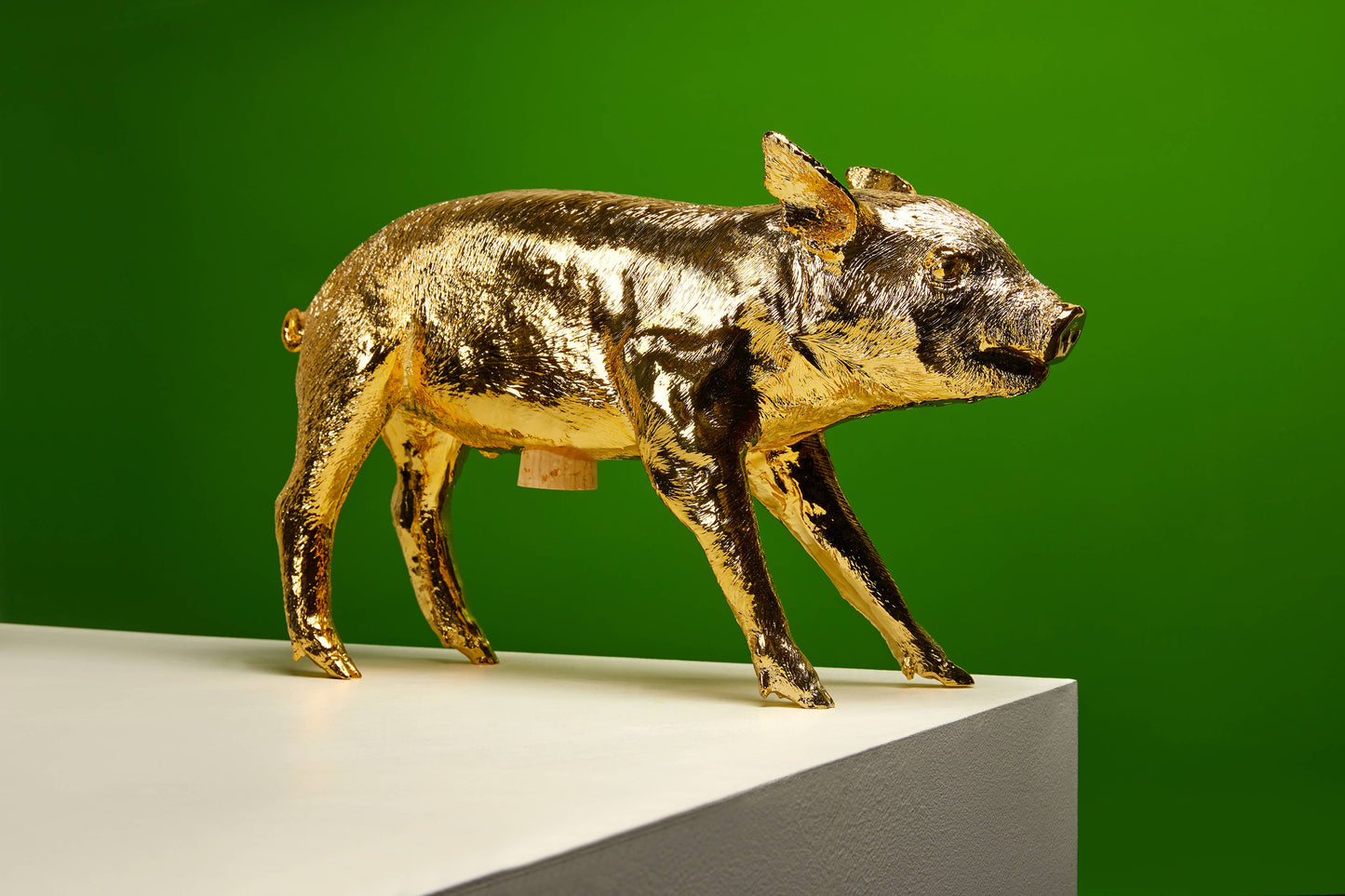 Bank in the Form of a Pig