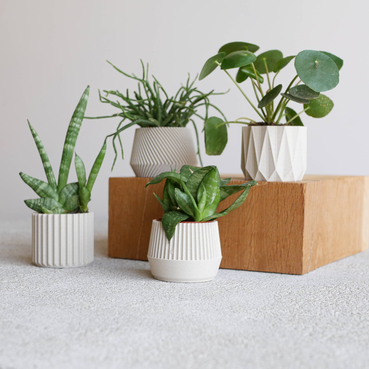 1 indoor Planter – Oslo Origami Kobe Stockholm
