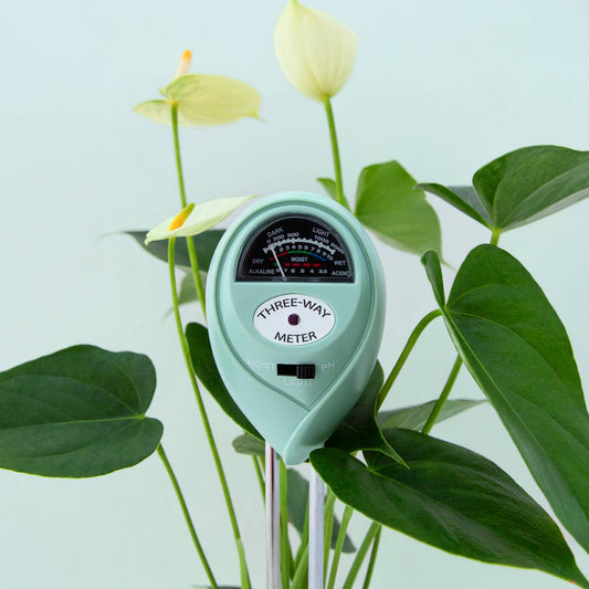 3-in-1 Moisture Meter | Lagoon