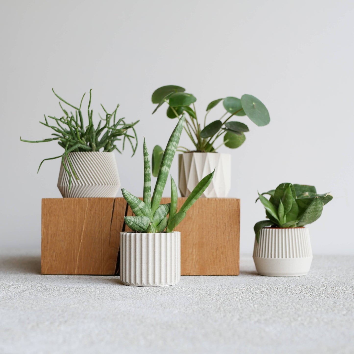 1 indoor Planter – Oslo Origami Kobe Stockholm