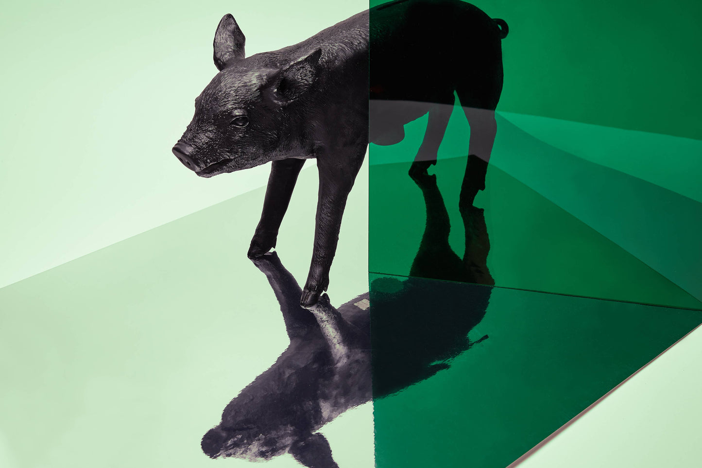 Bank in the Form of a Pig