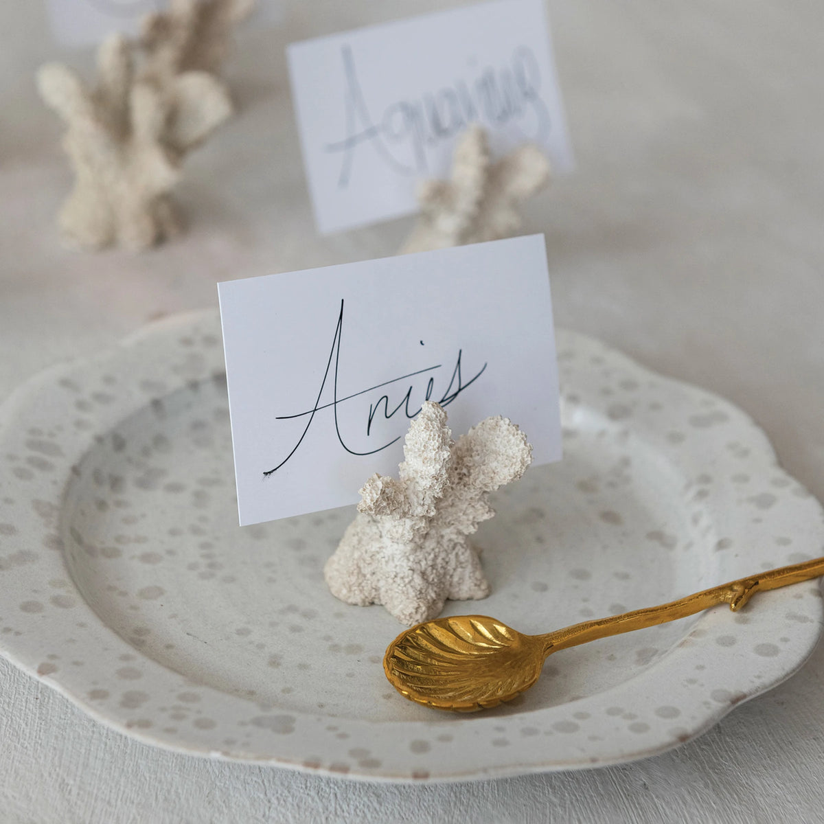 Resin Coral Shaped Place Card/Photo Holders with 12 Paper Cards, Boxed Set of 6