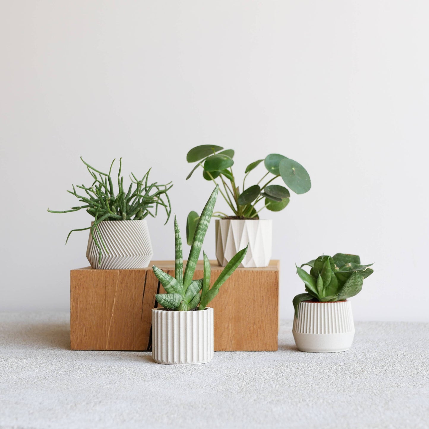 1 indoor Planter – Oslo Origami Kobe Stockholm