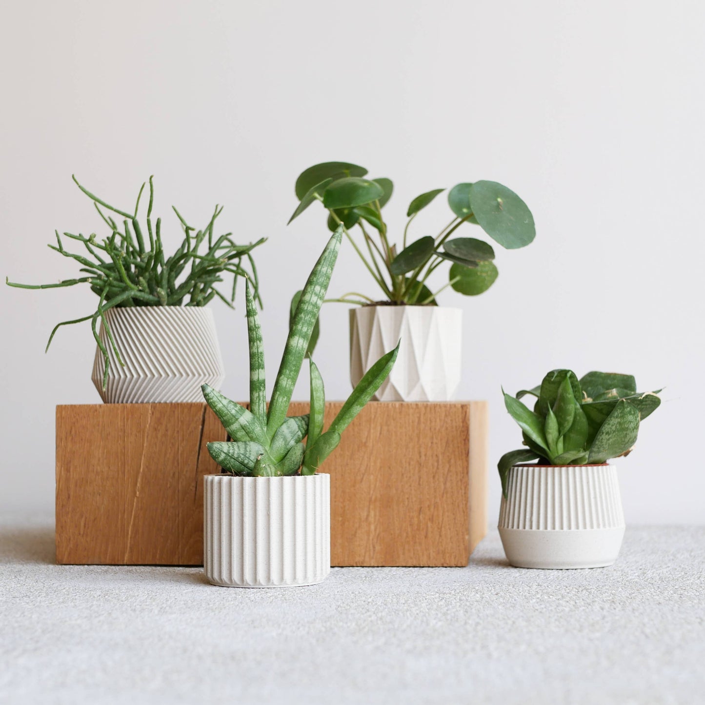 1 indoor Planter – Oslo Origami Kobe Stockholm