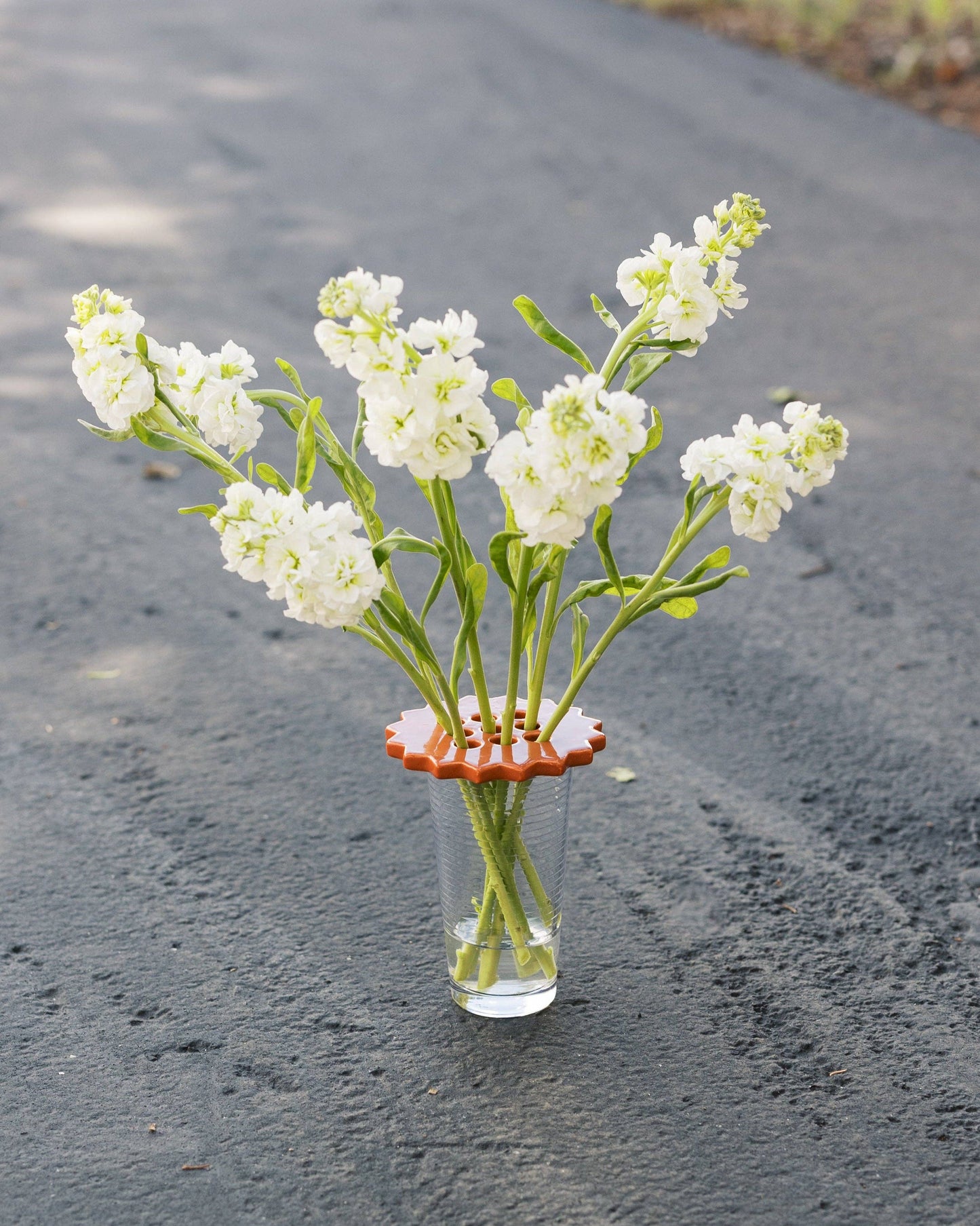 Sunshine Flower Frog | Terracotta | Ceramic Lid