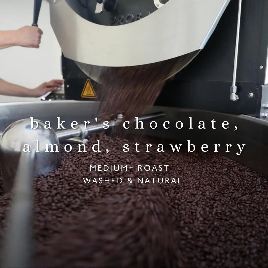 Infinite Jest Whole Bean Coffee 12 oz