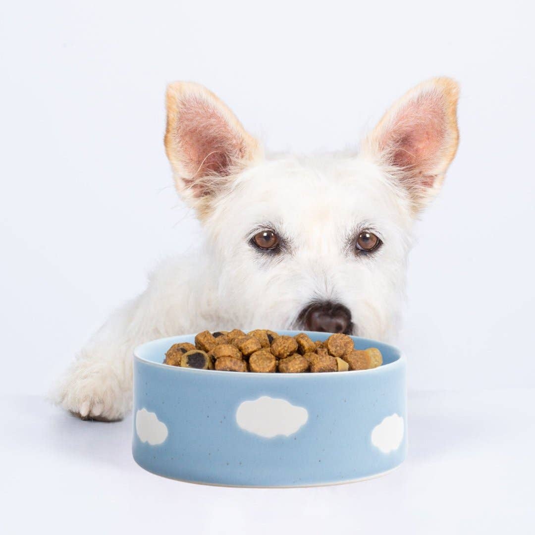 Blue Medium stoneware ceramic Pet Bowls — Cloud Collection