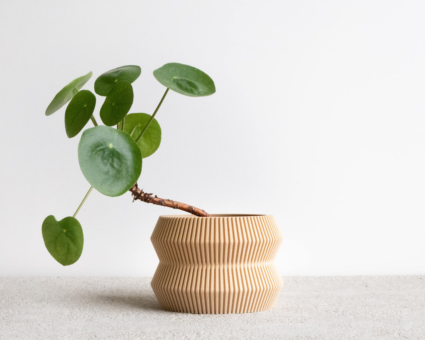 ITO Indoor Planter