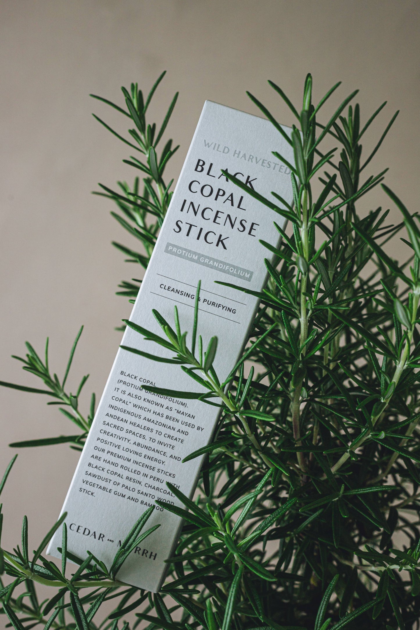 [Burning Ritual] Black Copal Incense Stick