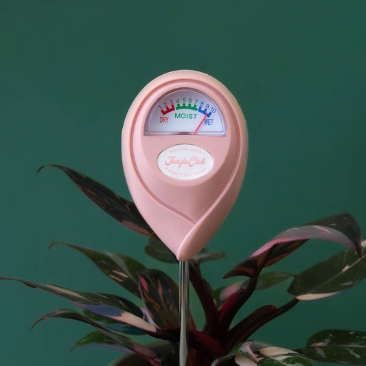 Moisture Meter | Pink *NEW COLOR*
