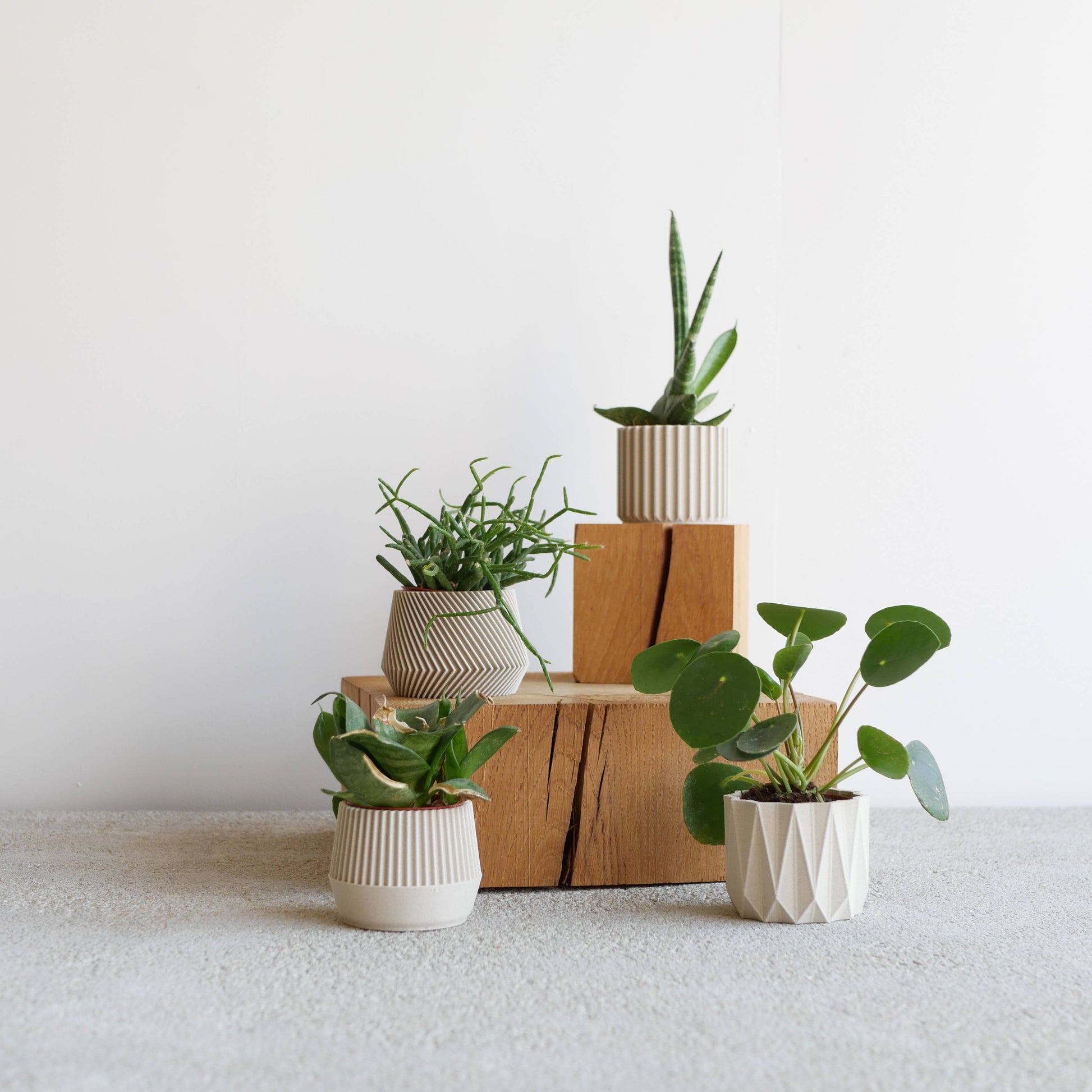 geometric pots for plants 1 indoor Planter – Oslo Origami Kobe Stockholm – Rabbit Hole