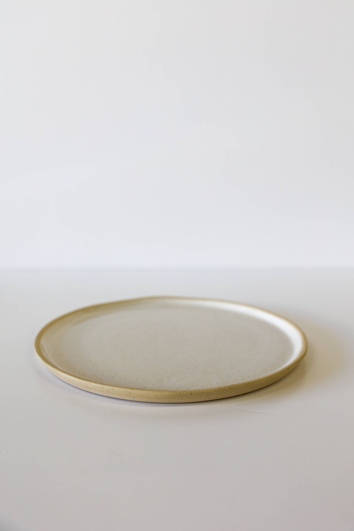 River Dinner Plate | White Speckle