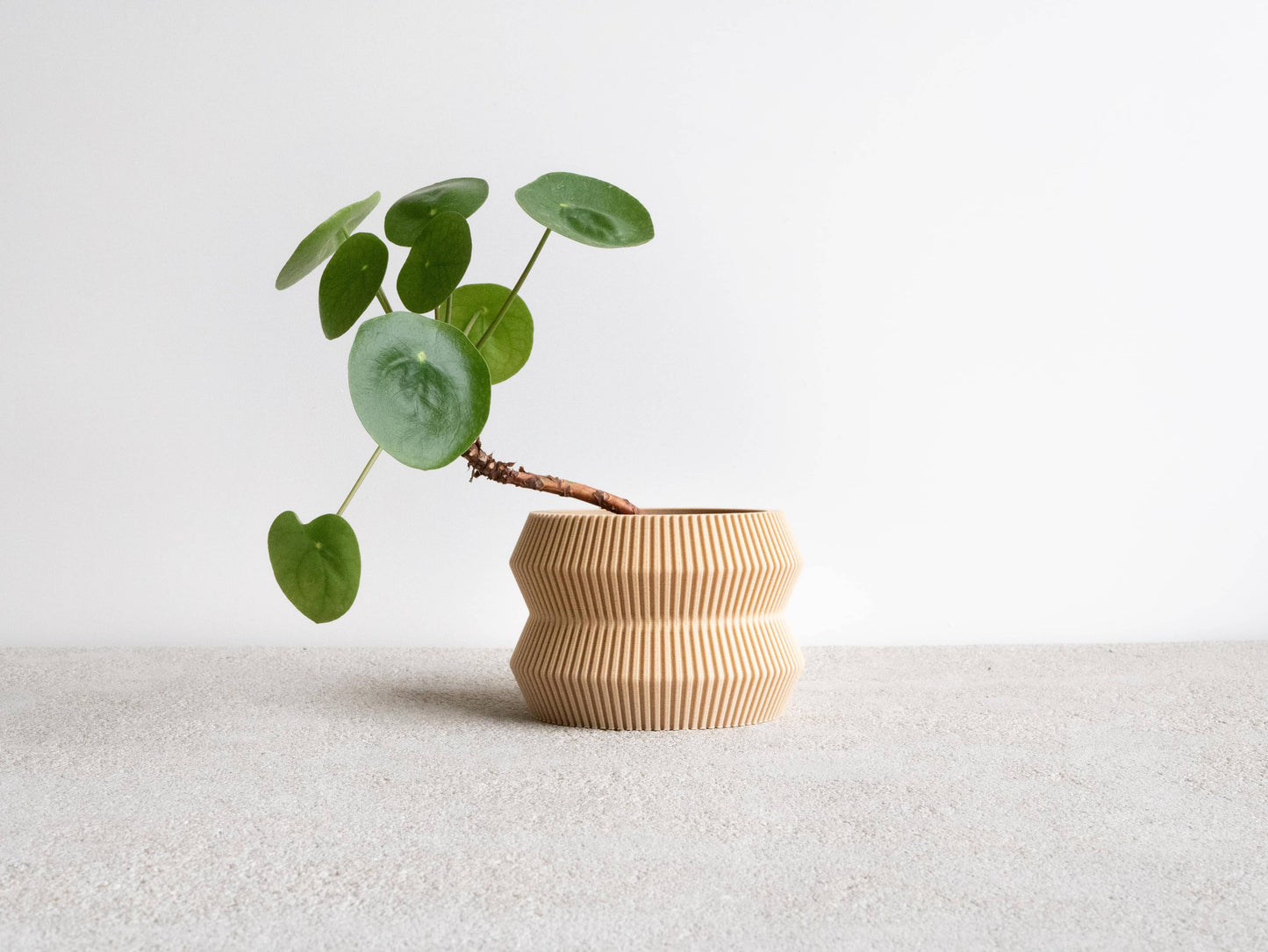 ITO Indoor Planter