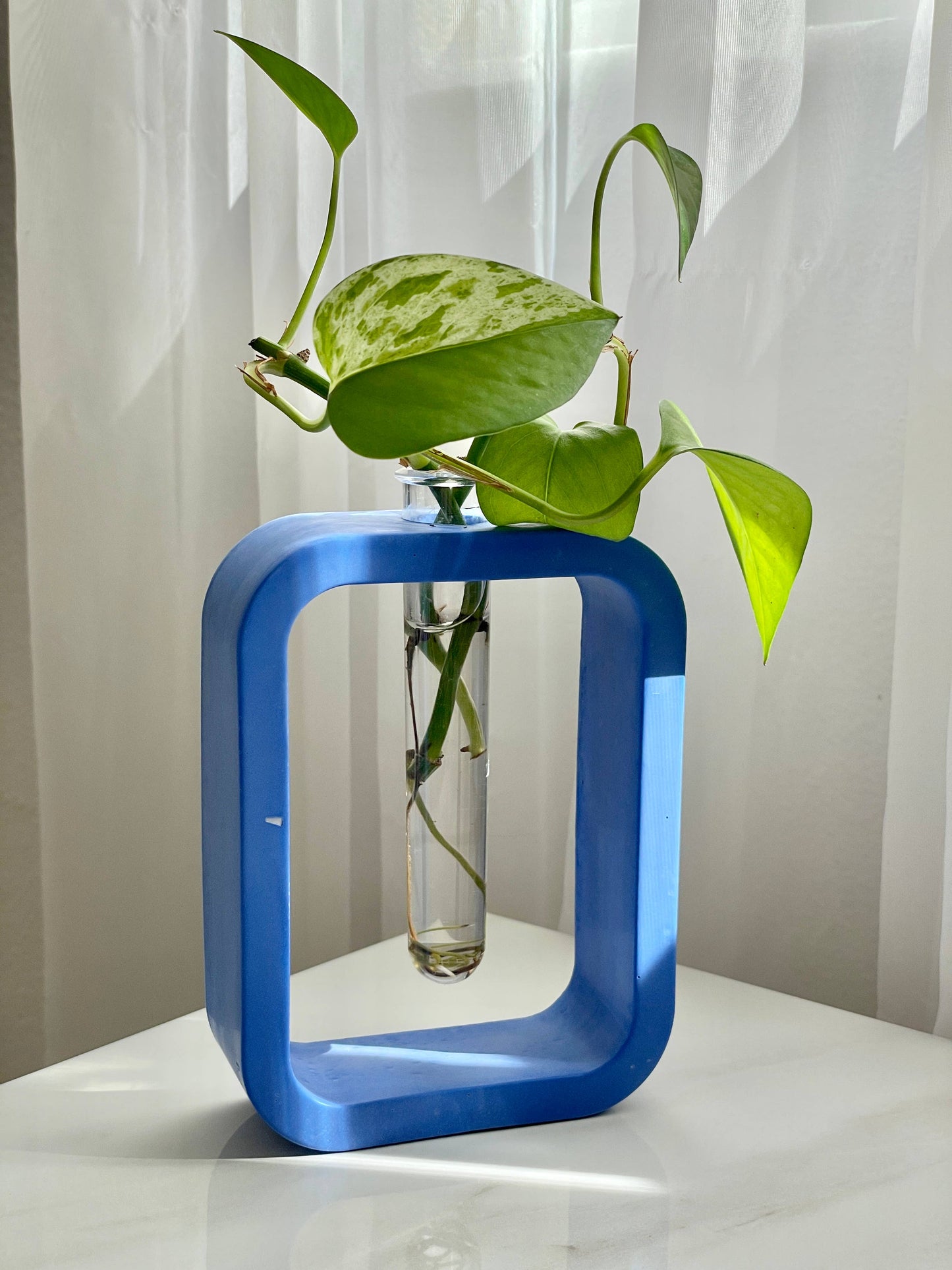 Plant Propagation Cement Station/Vase [Colored]