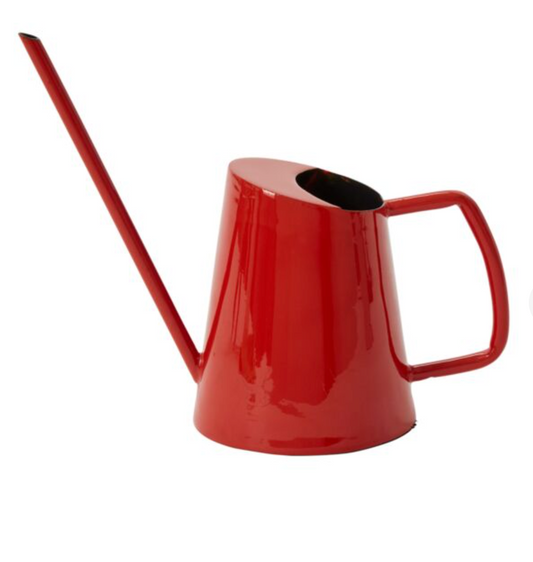 Patsy Watering Can