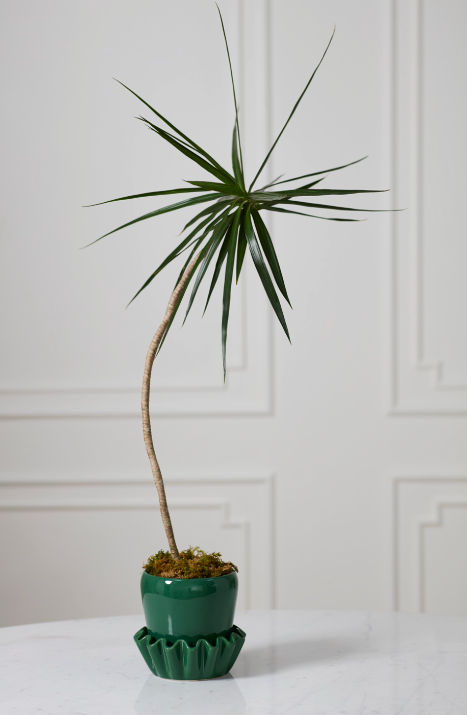 Lorelai Pot with Saucer