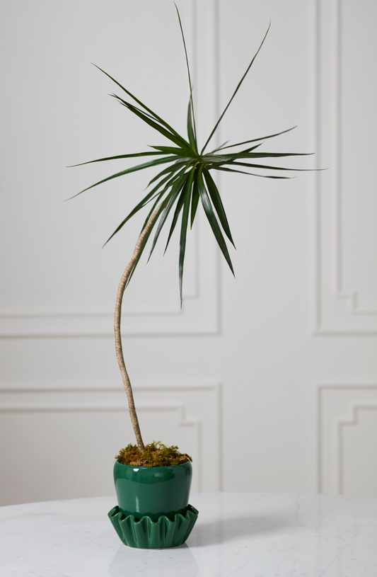 Lorelai Pot with Saucer