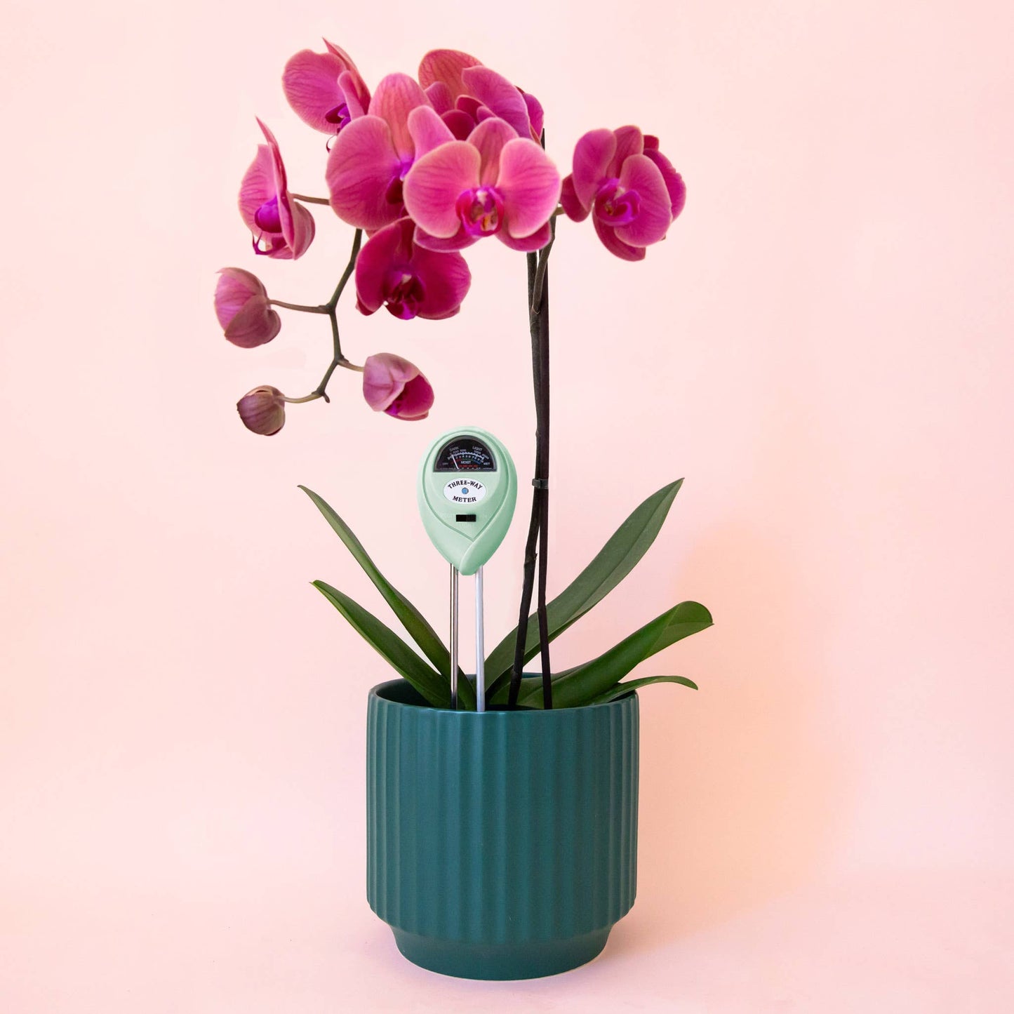 3-in-1 Moisture Meter | Lagoon