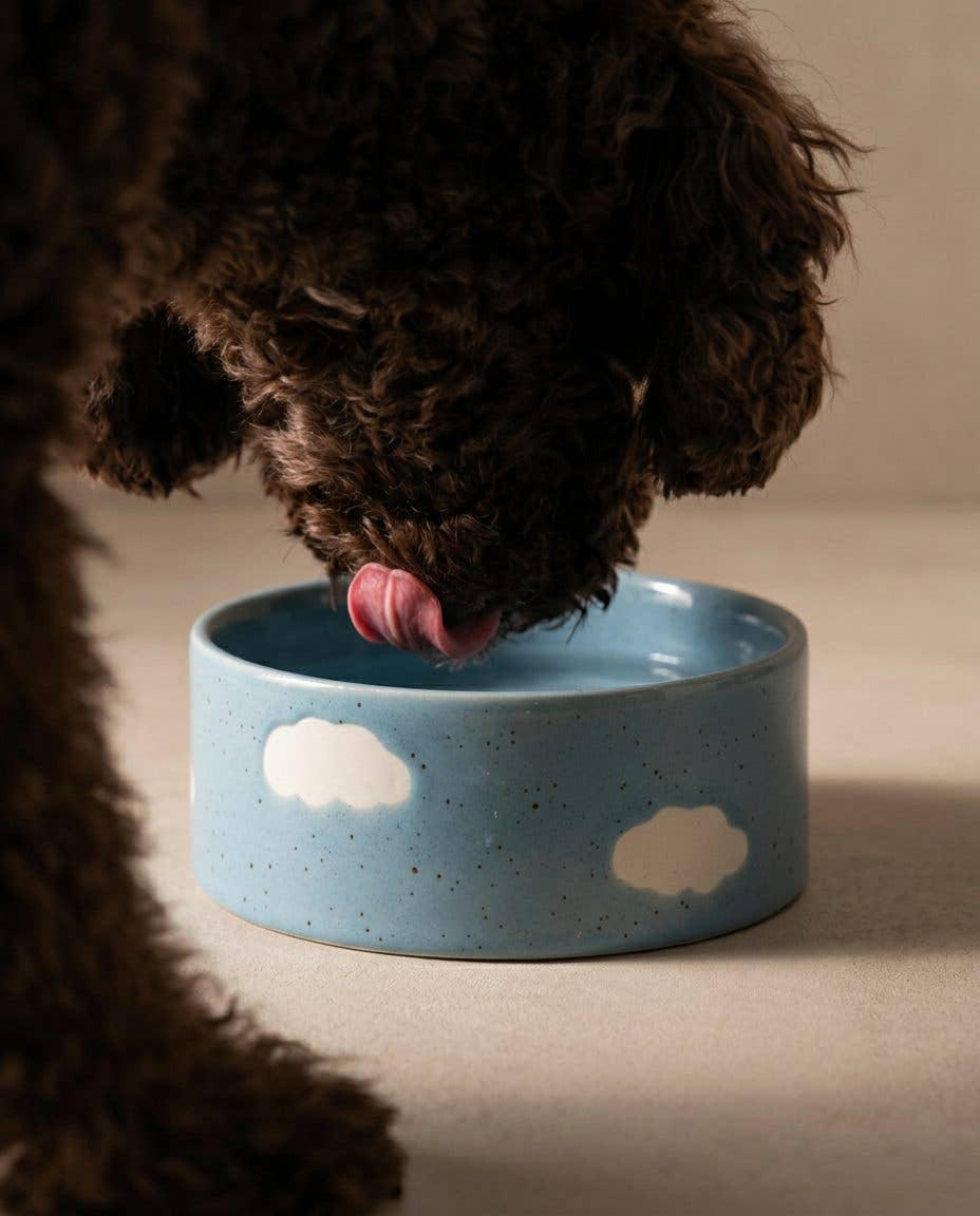 Blue Medium stoneware ceramic Pet Bowls — Cloud Collection