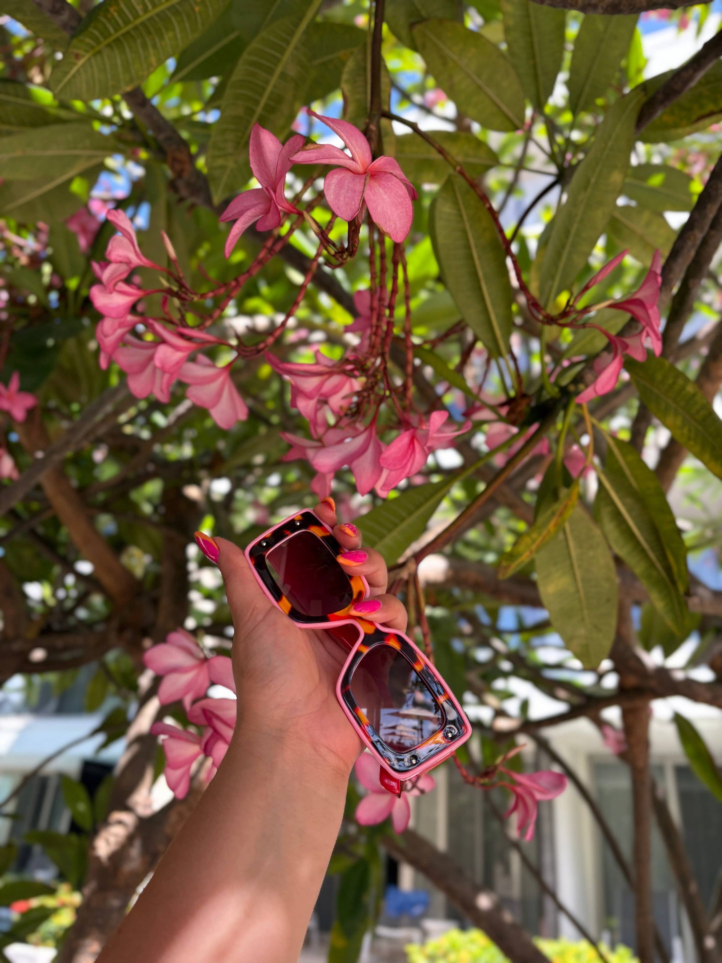 Deco Sunglasses Pink + Red