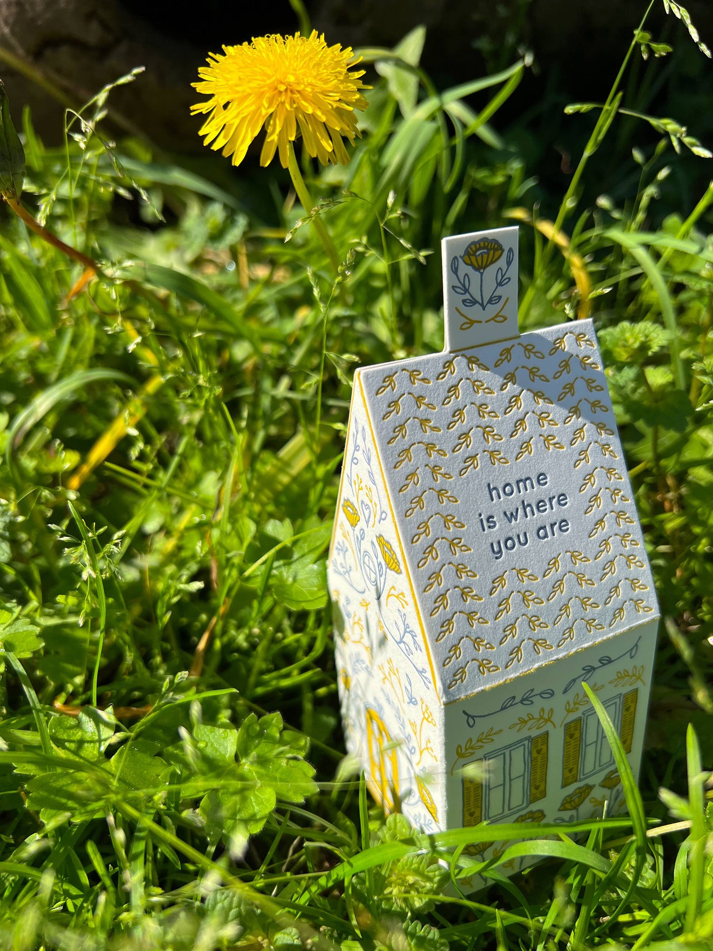 Home is where you are 3D house card
