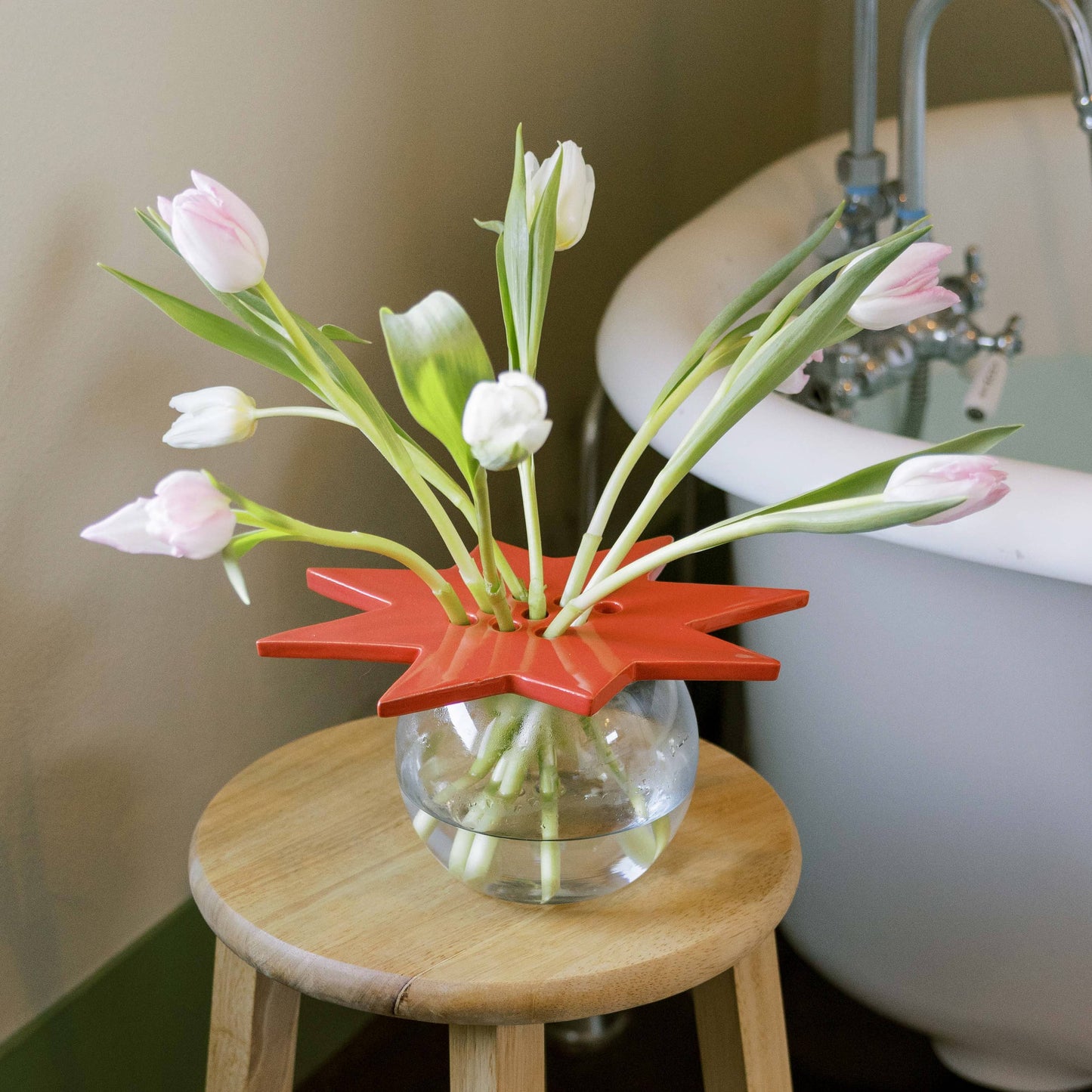Star Flower Frog  | Ruby Red | Ceramic Lid