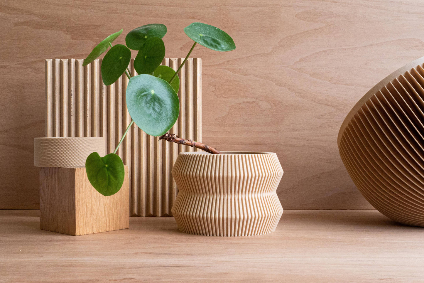 ITO Indoor Planter