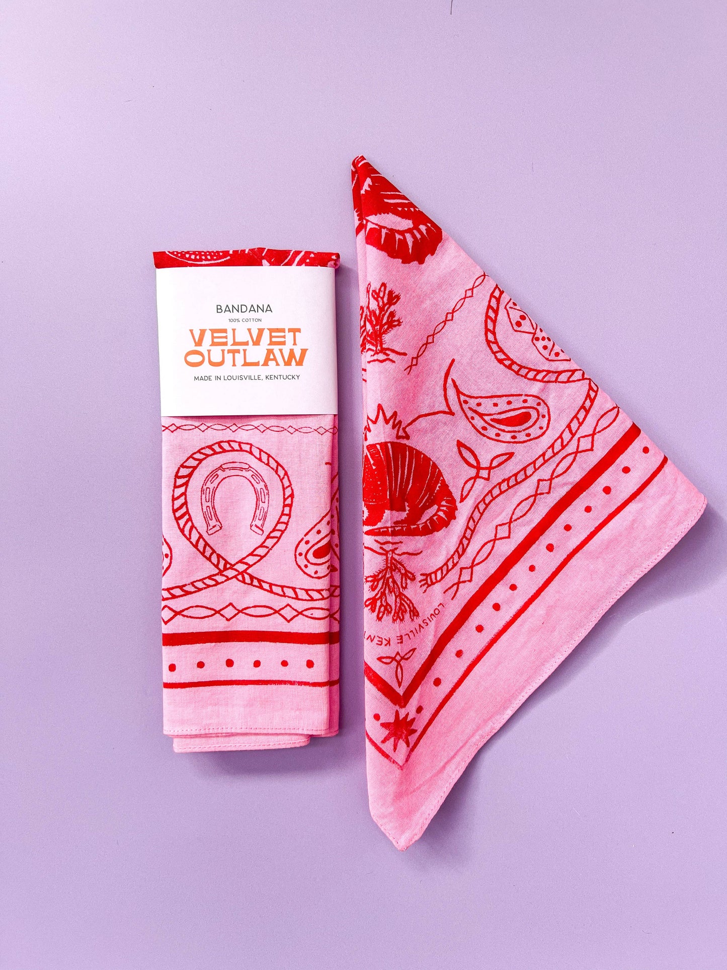 Armadillo Cotton Bandana