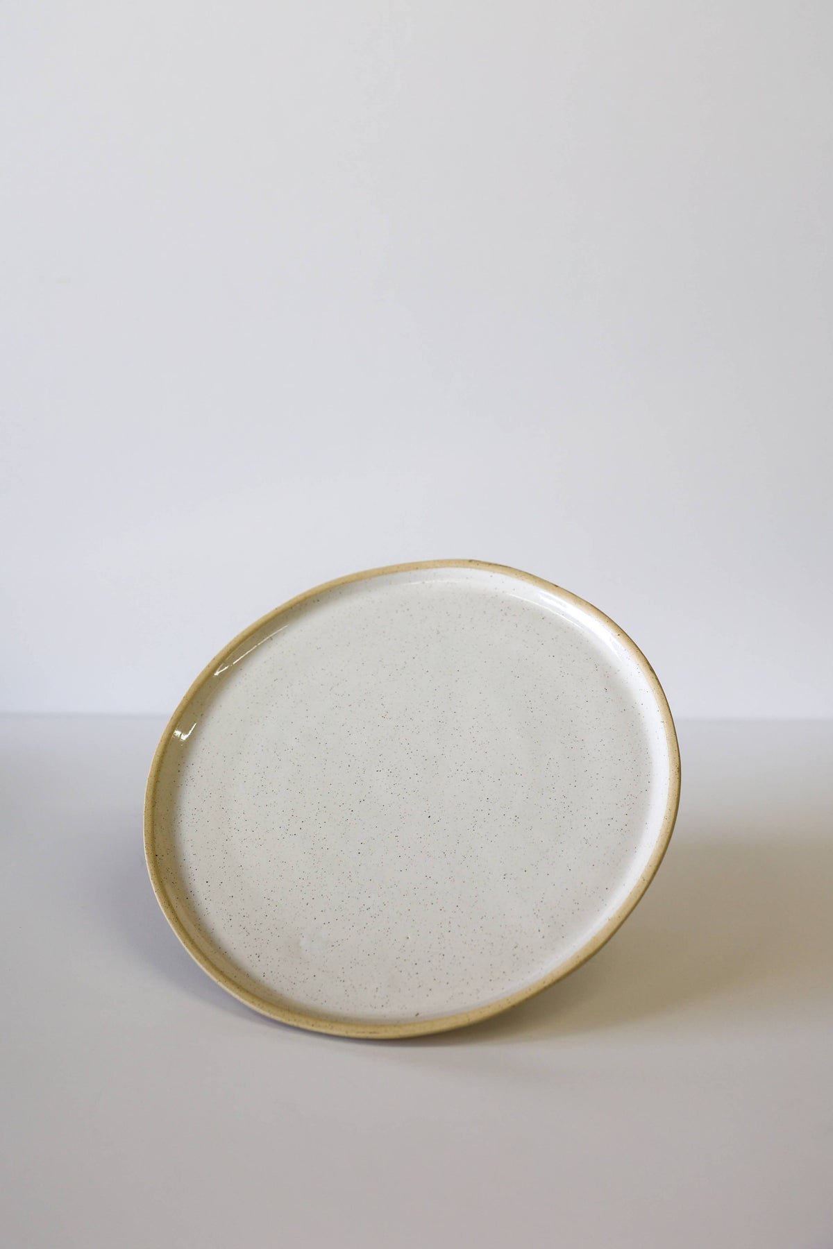 River Dinner Plate | White Speckle