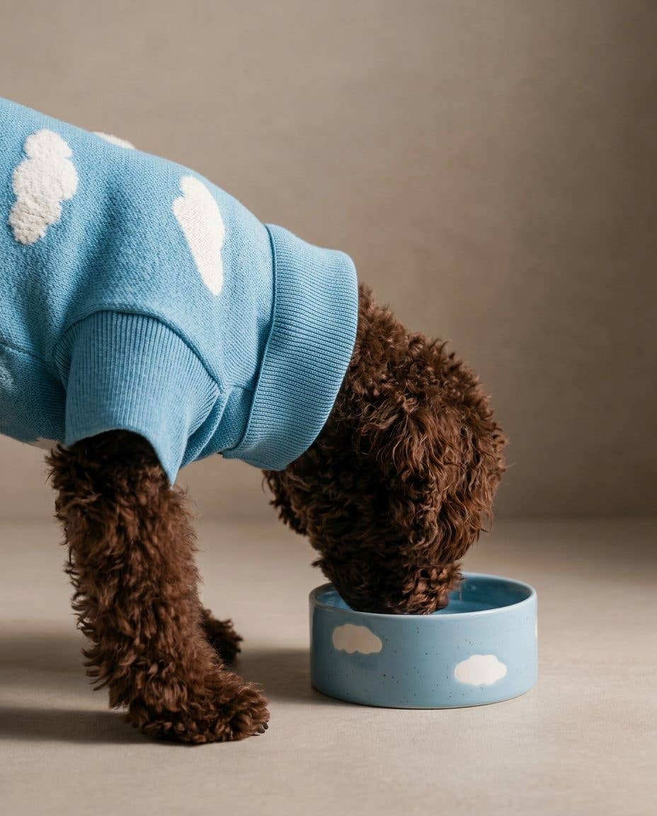 Blue Medium stoneware ceramic Pet Bowls — Cloud Collection