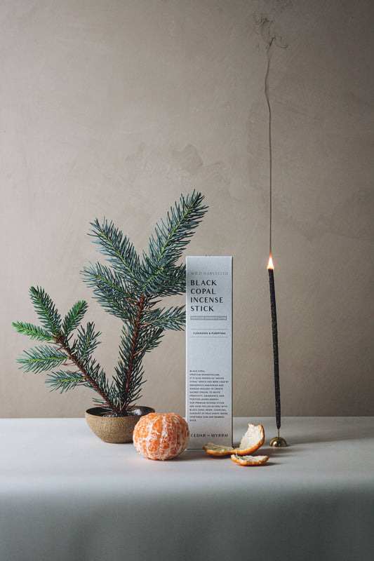 [Burning Ritual] Black Copal Incense Stick